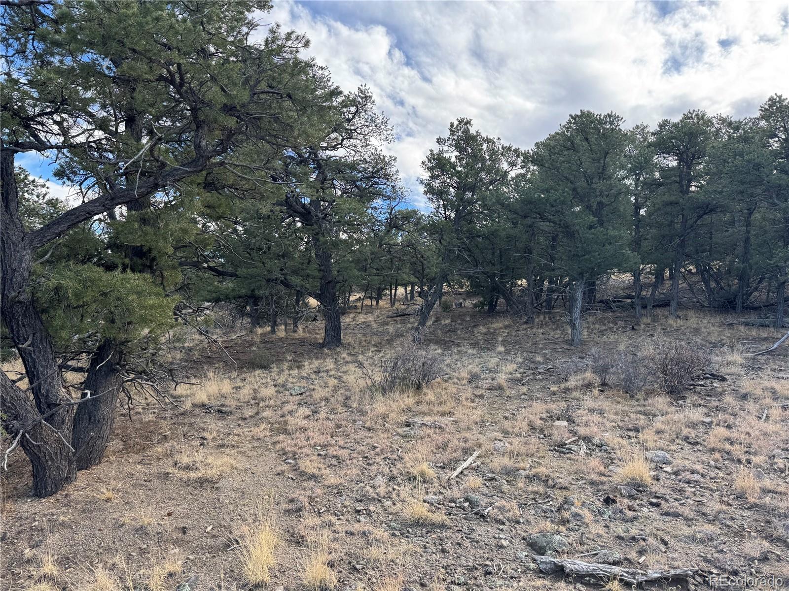 2926 E Path Cotopaxi CO 81223