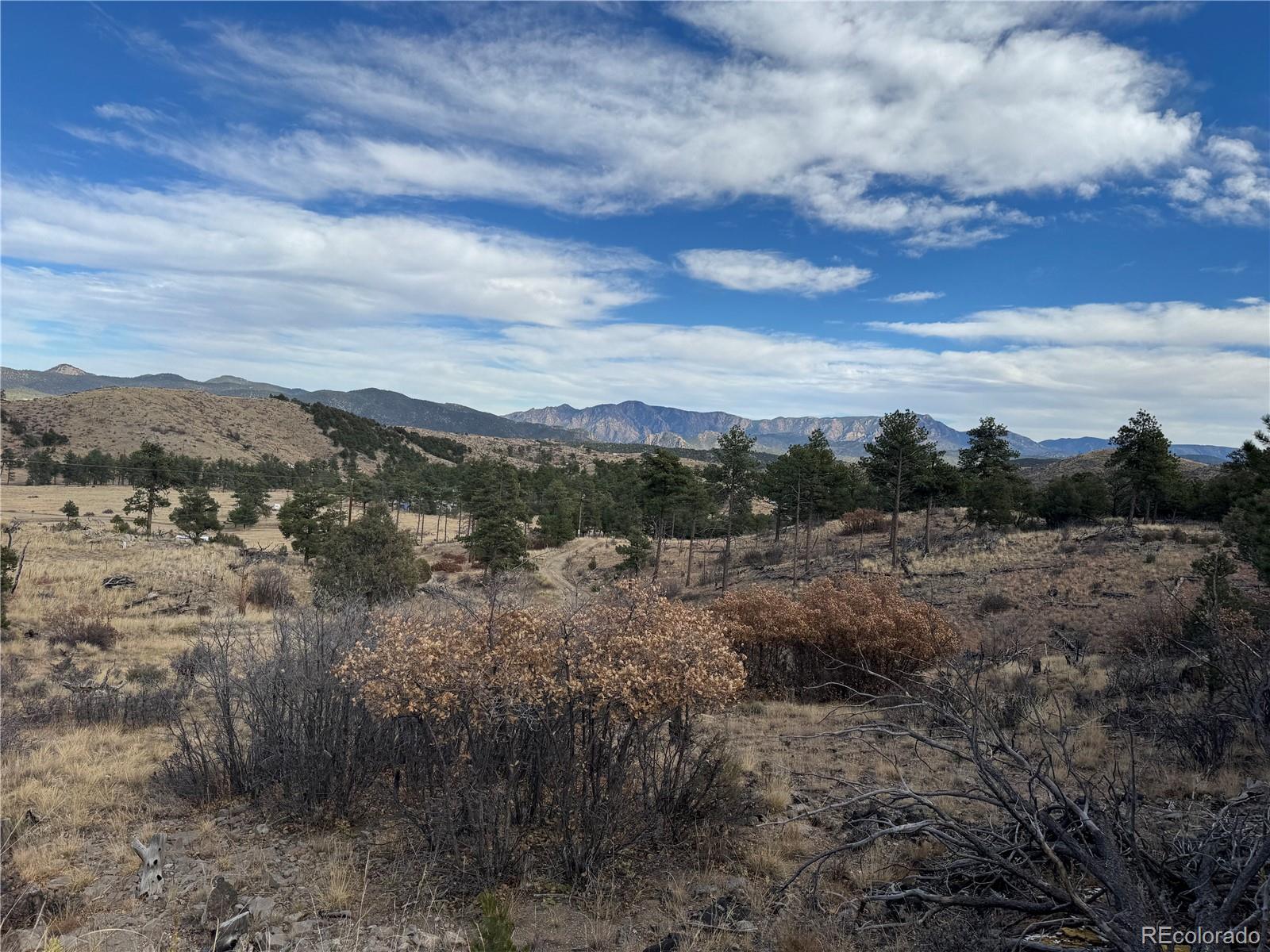 2926 E Path Cotopaxi CO 81223