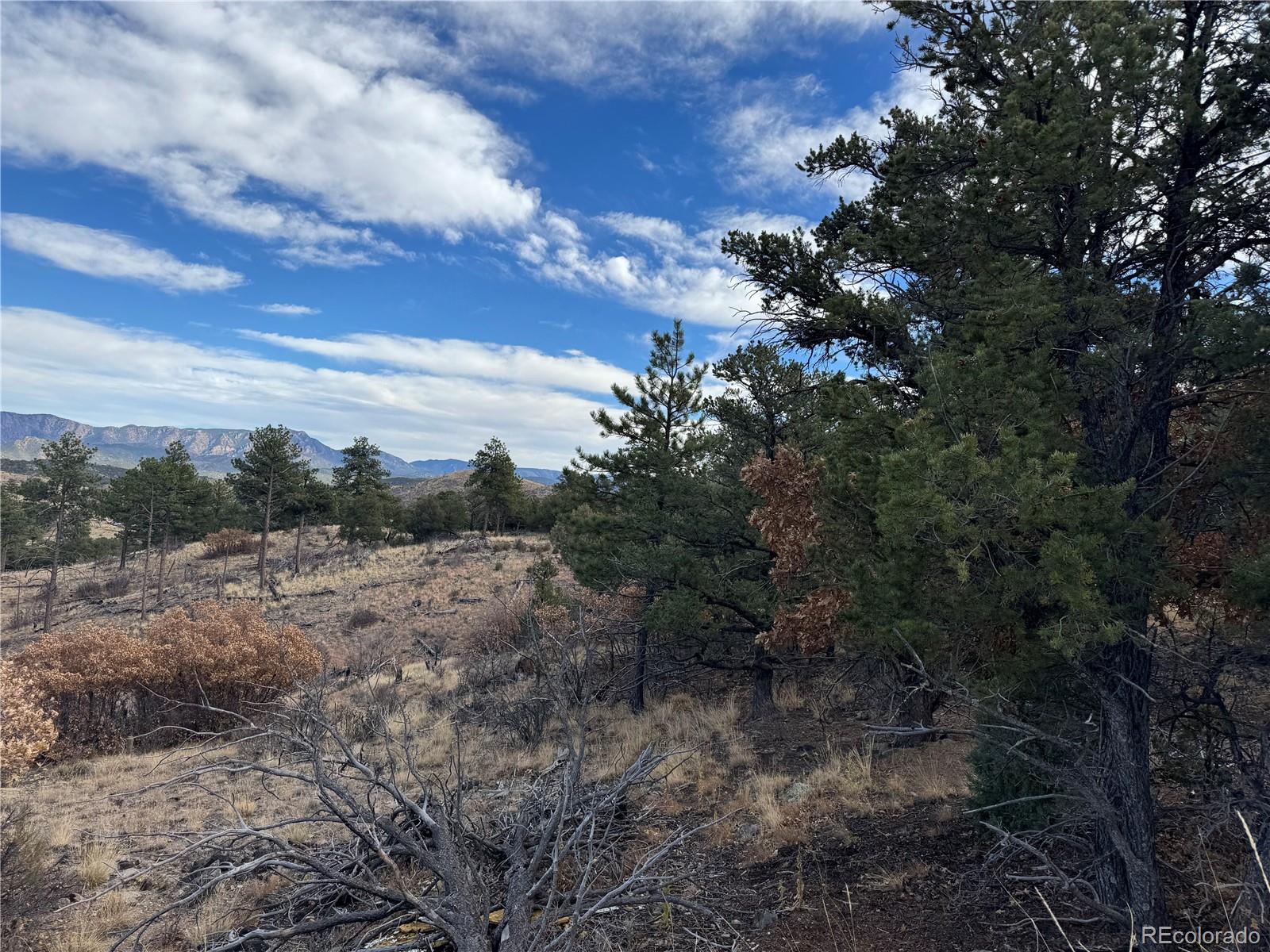2926 E Path Cotopaxi CO 81223