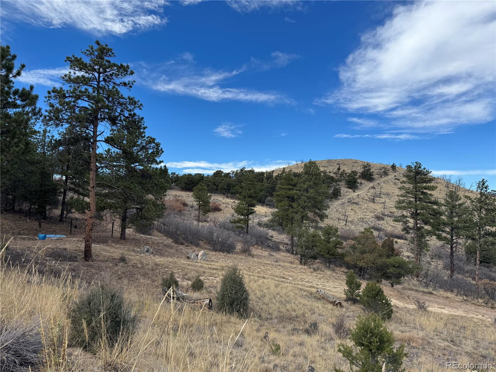 2926 E Path Cotopaxi CO 81223