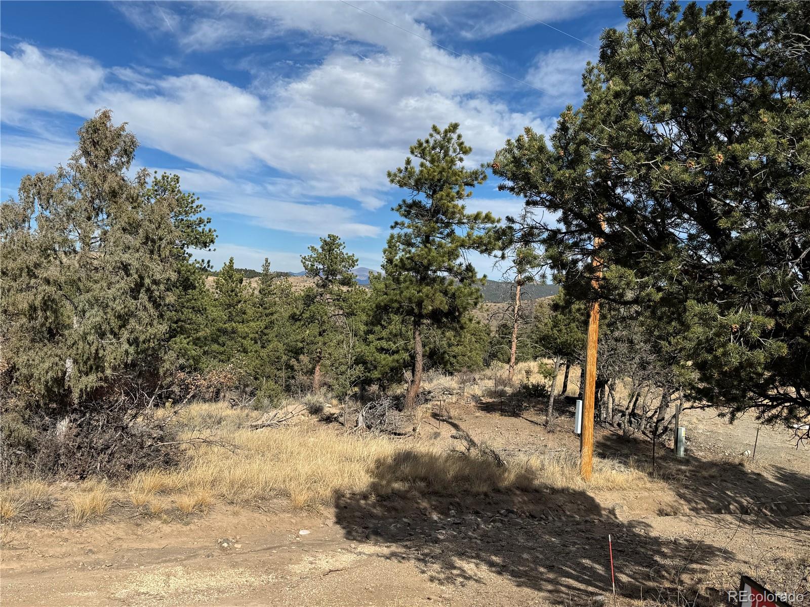 2926 E Path Cotopaxi CO 81223