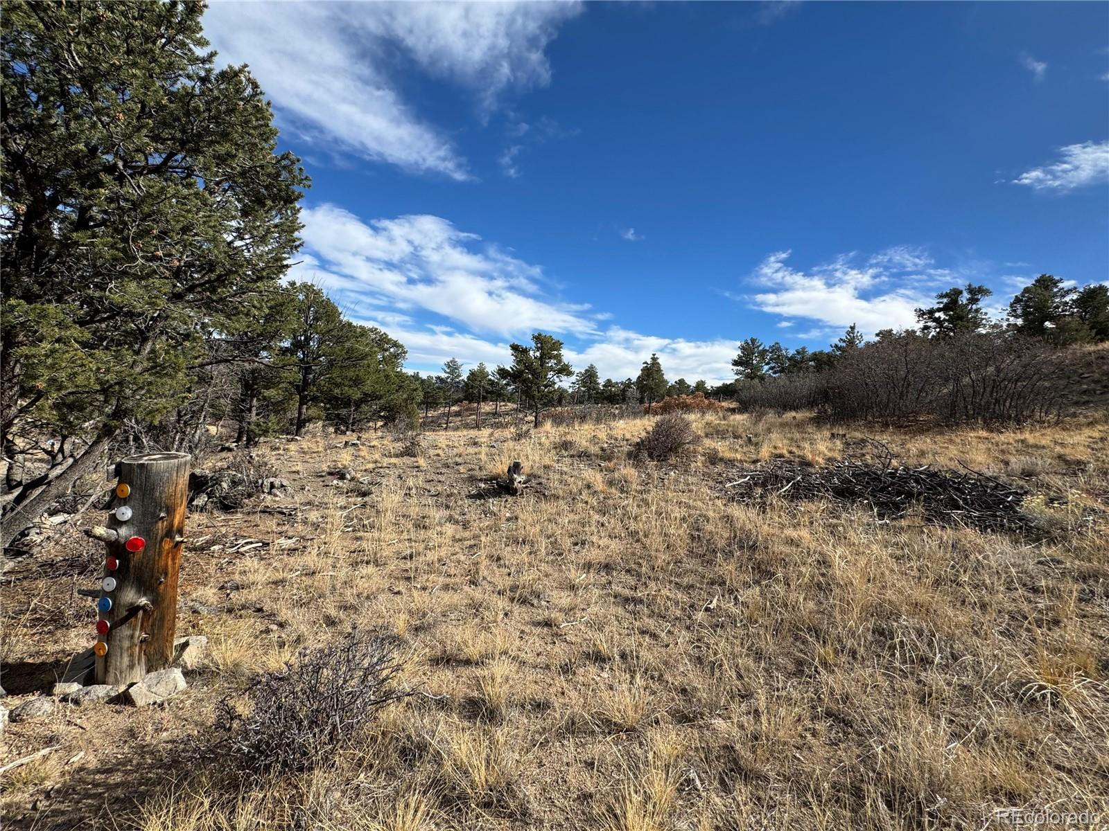 2926 E Path Cotopaxi CO 81223