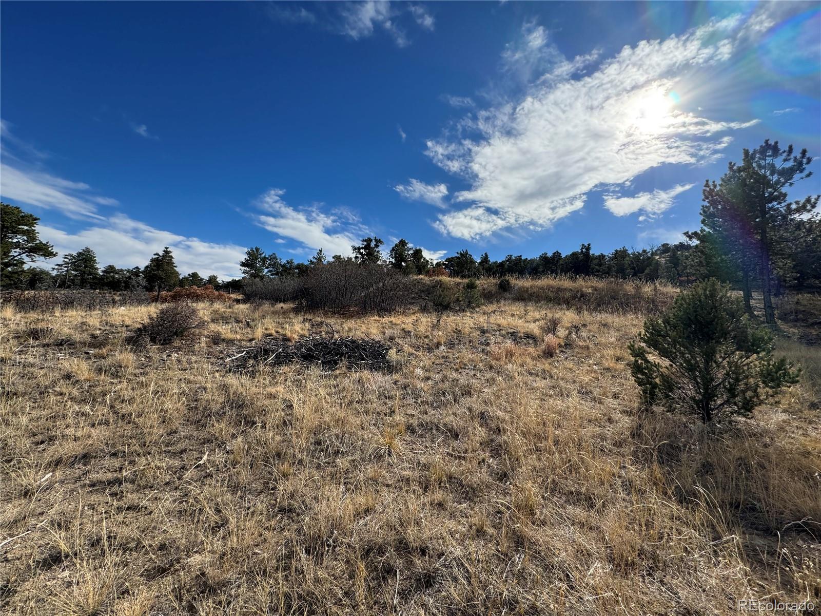 2926 E Path Cotopaxi CO 81223