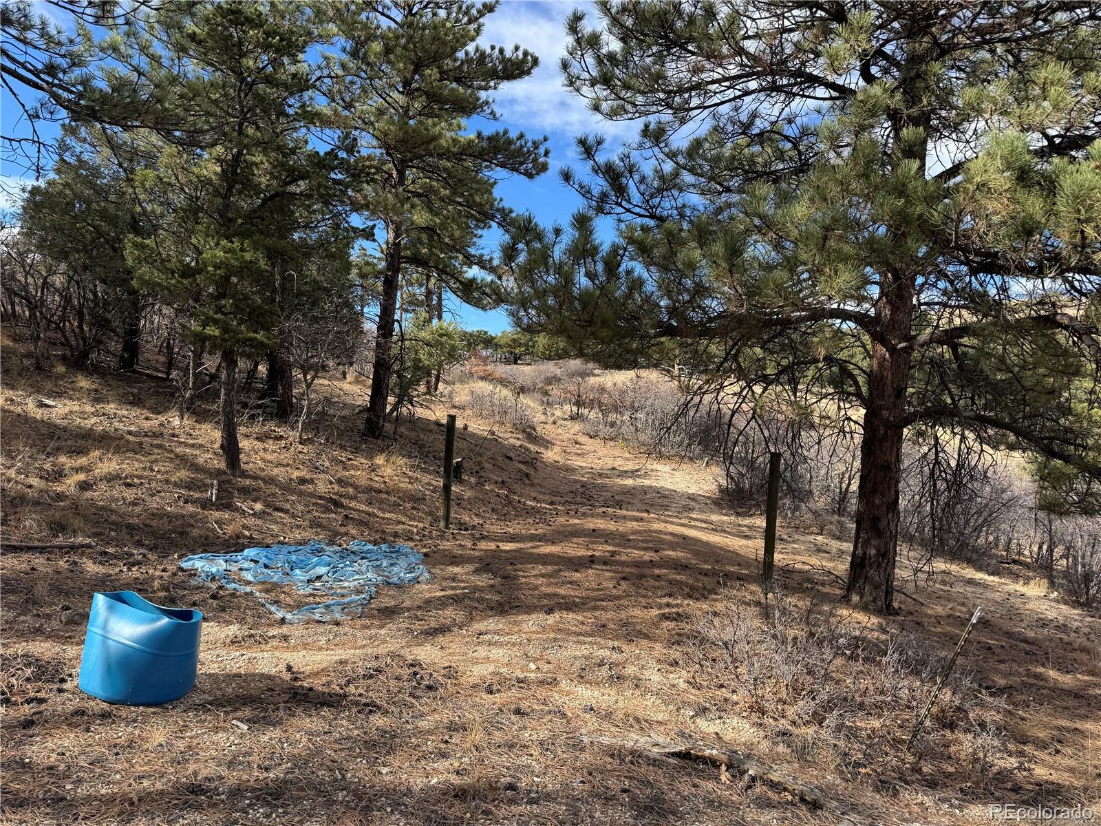 2926 E Path Cotopaxi CO 81223