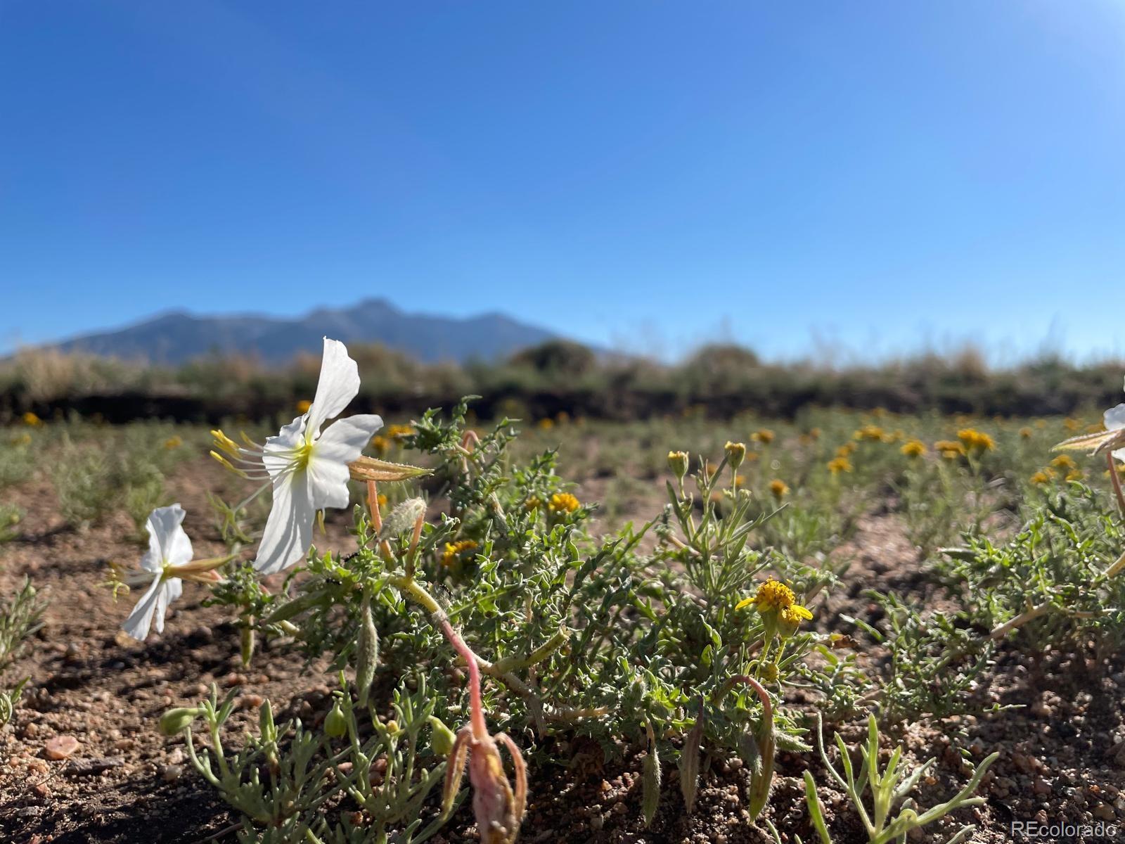 R047943 Blanca CO 81123