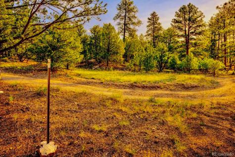 Tbd L 10th Trail Cotopaxi CO 81223