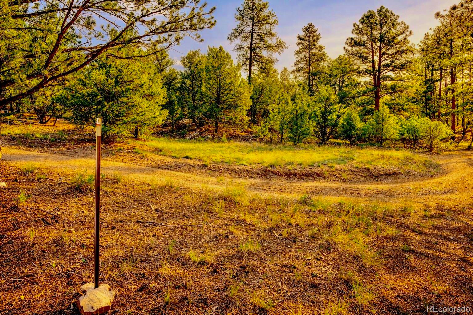 Tbd L 10th Trail Cotopaxi CO 81223