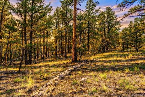 Tbd L 10th Trail Cotopaxi CO 81223