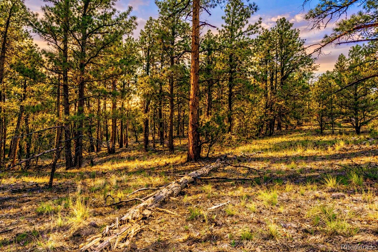 Tbd L 10th Trail Cotopaxi CO 81223
