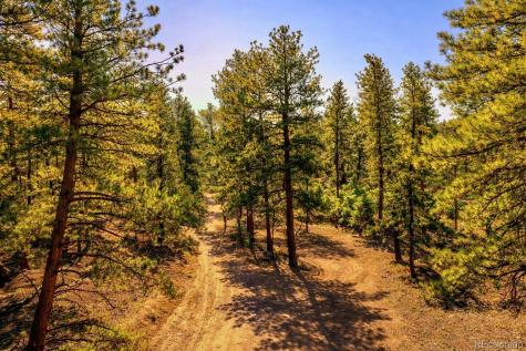 Tbd L 10th Trail Cotopaxi CO 81223