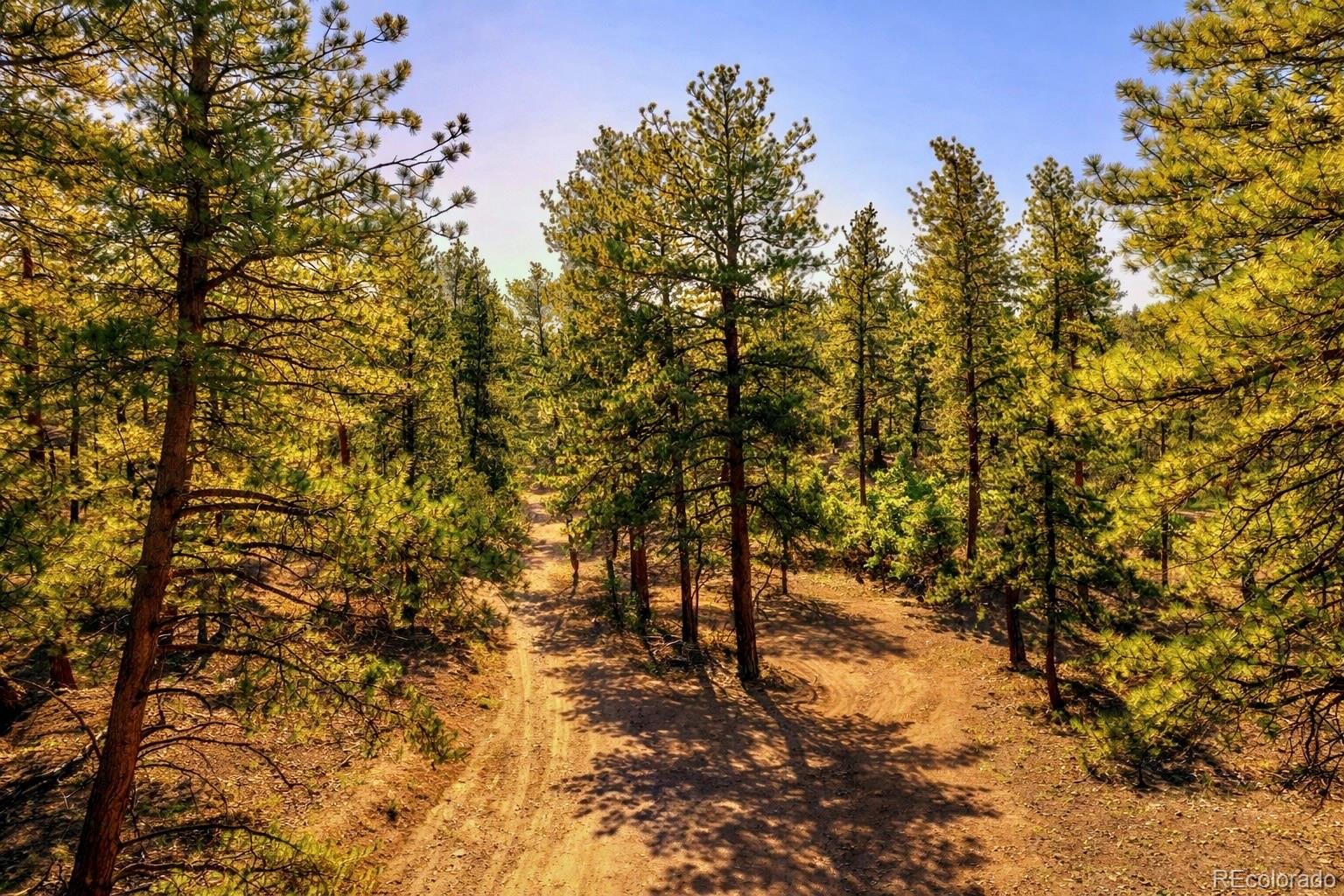 Tbd L 10th Trail Cotopaxi CO 81223