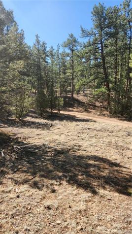 Tbd L 10th Trail Cotopaxi CO 81223