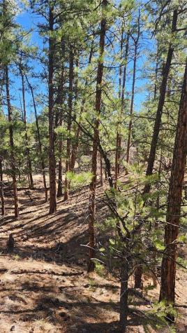 Tbd L 10th Trail Cotopaxi CO 81223