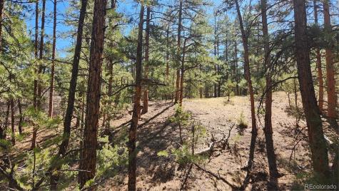 Tbd L 10th Trail Cotopaxi CO 81223
