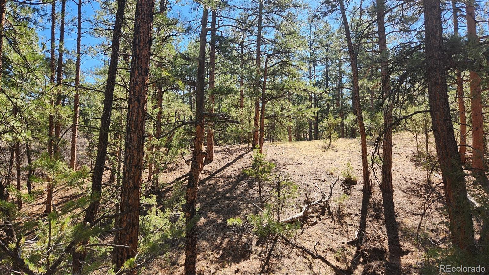 Tbd L 10th Trail Cotopaxi CO 81223