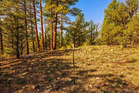 TBD L 10TH Trail Cotopaxi CO 81223