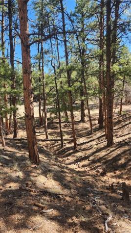 Tbd L 10th Trail Cotopaxi CO 81223