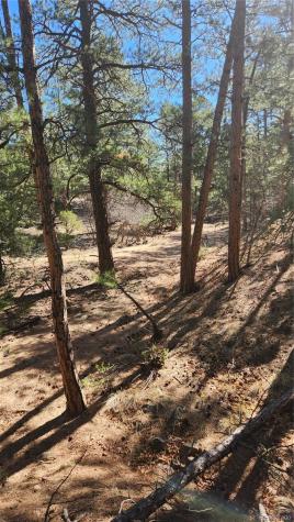 Tbd L 10th Trail Cotopaxi CO 81223