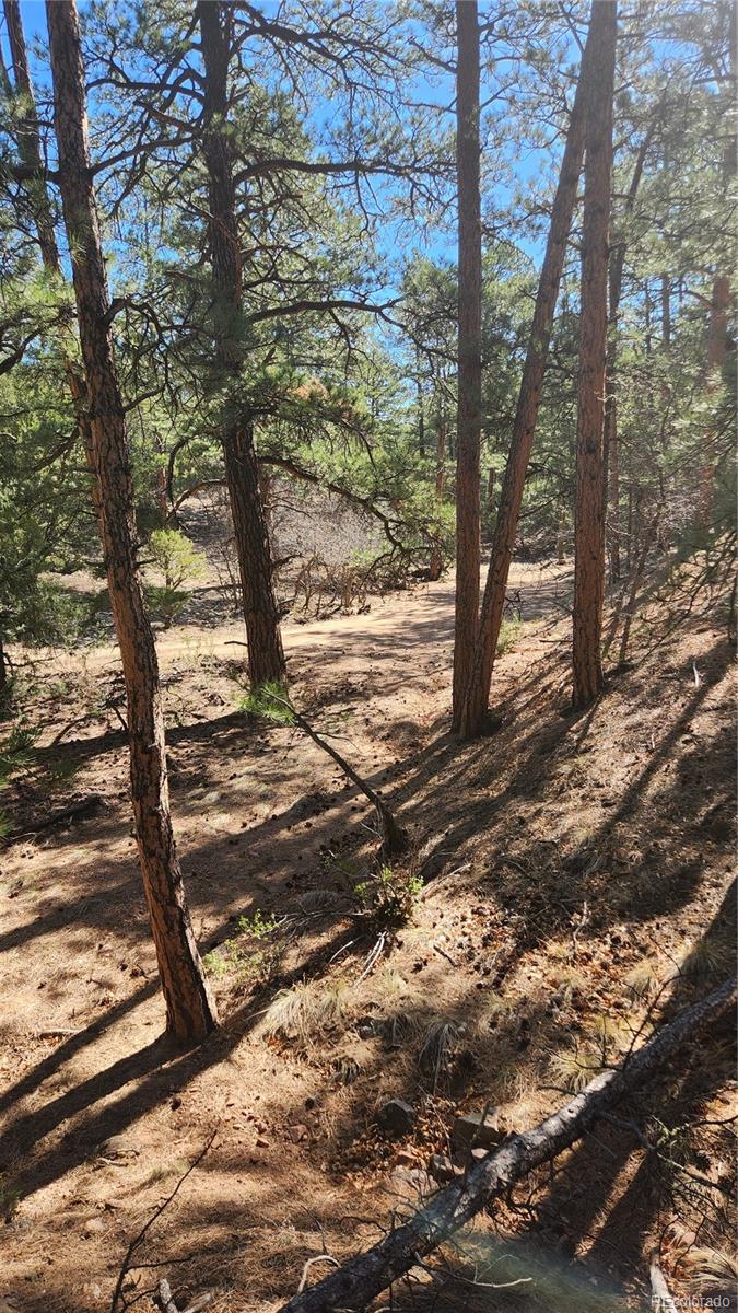 Tbd L 10th Trail Cotopaxi CO 81223