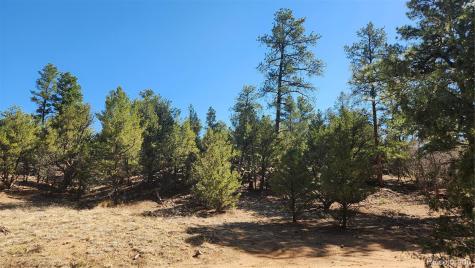 Tbd L 10th Trail Cotopaxi CO 81223