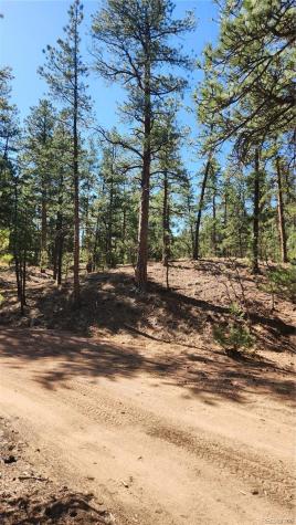 Tbd L 10th Trail Cotopaxi CO 81223