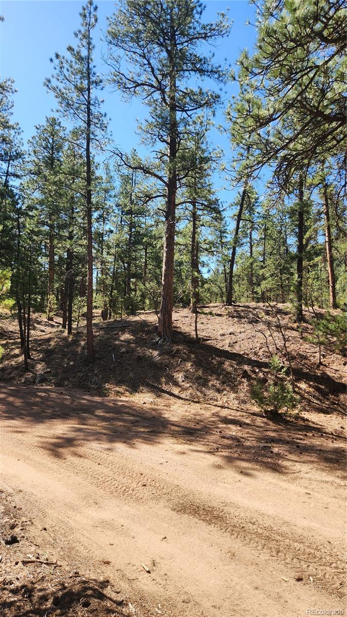 Tbd L 10th Trail Cotopaxi CO 81223