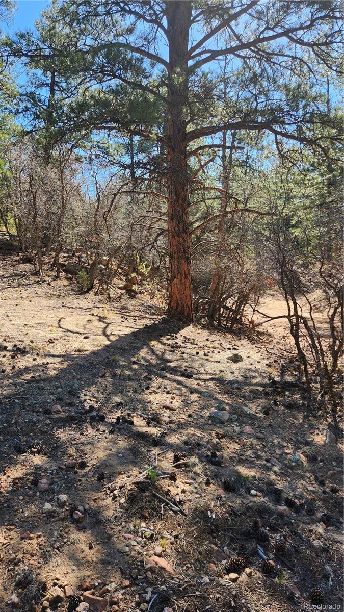 Tbd L 10th Trail Cotopaxi CO 81223