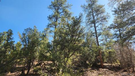 Tbd L 10th Trail Cotopaxi CO 81223