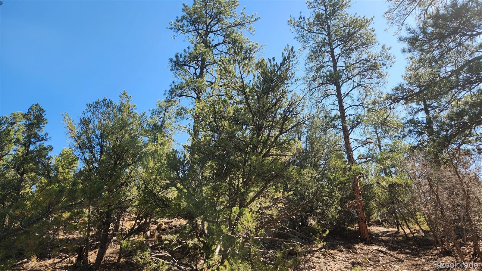 Tbd L 10th Trail Cotopaxi CO 81223