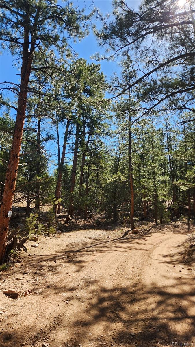 Tbd L 10th Trail Cotopaxi CO 81223