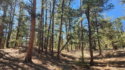 Tbd L 10th Trail Cotopaxi CO 81223