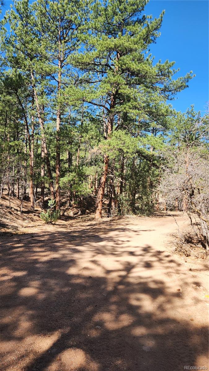 Tbd L 10th Trail Cotopaxi CO 81223