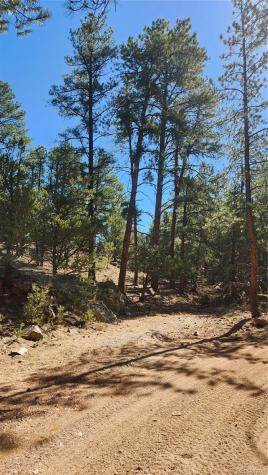 TBD L 10TH Trail Cotopaxi CO 81223