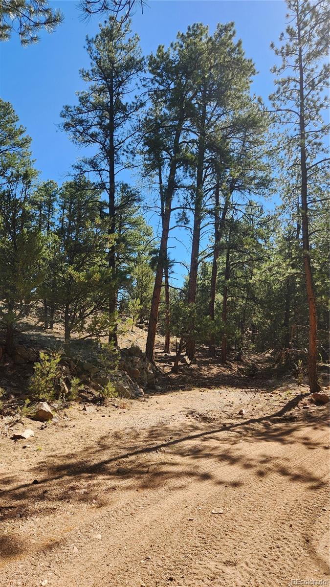 Tbd L 10th Trail Cotopaxi CO 81223