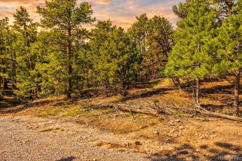 Tbd L 10th Trail Cotopaxi CO 81223