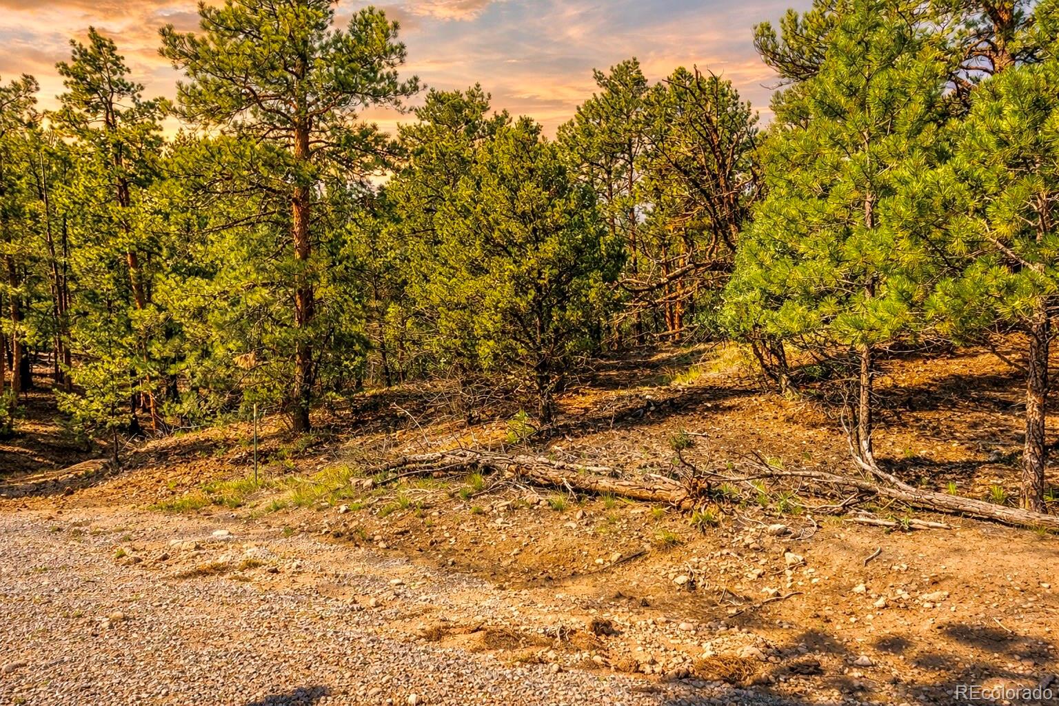 Tbd L 10th Trail Cotopaxi CO 81223