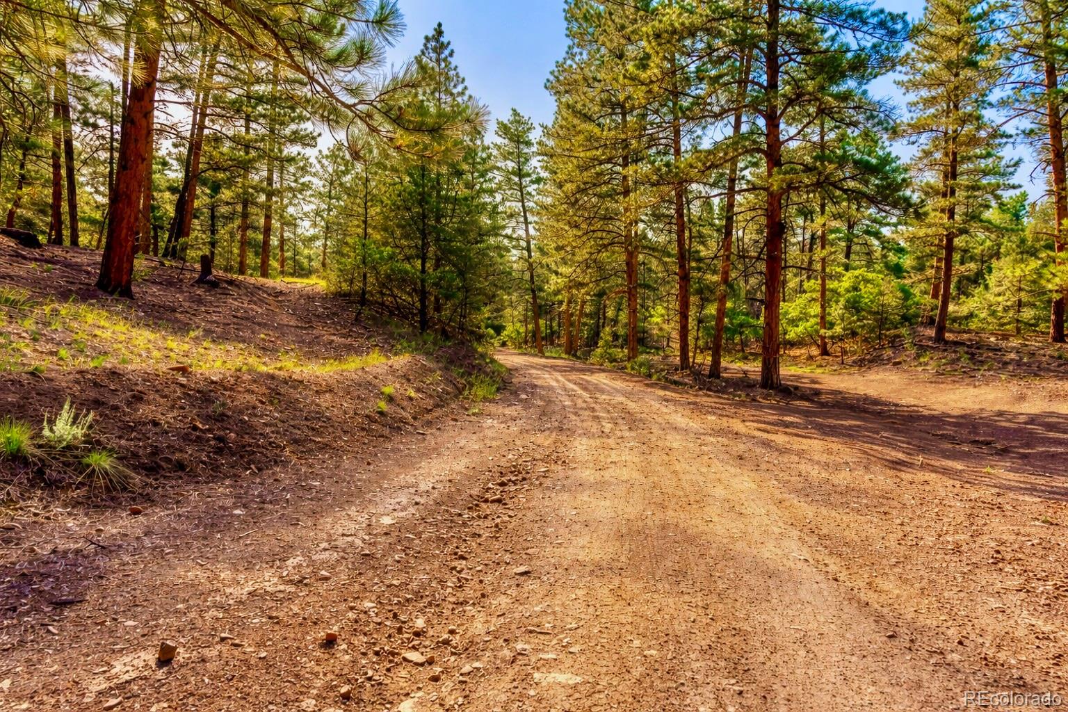 Tbd L 10th Trail Cotopaxi CO 81223