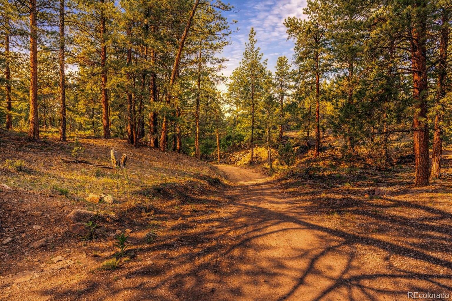 Tbd L 10th Trail Cotopaxi CO 81223