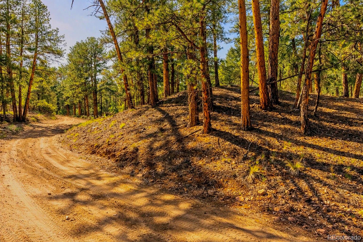 Tbd L 10th Trail Cotopaxi CO 81223