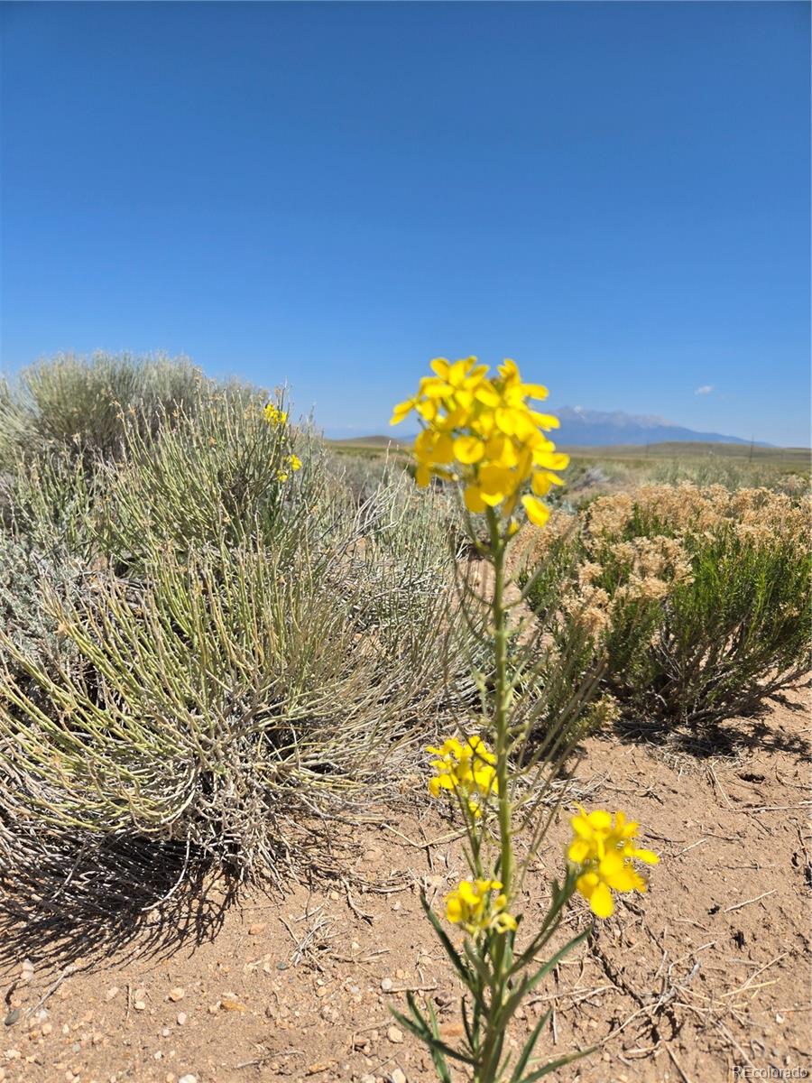 13TH Street Lot7 Blanca CO 81133