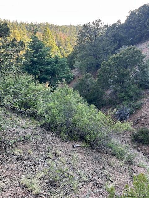 Lot 5693 Balleroy Road San Luis CO 81152