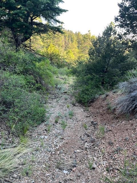Lot 5693 Balleroy Road San Luis CO 81152