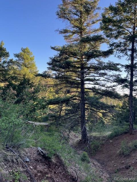 Lot 5693 Balleroy Road San Luis CO 81152