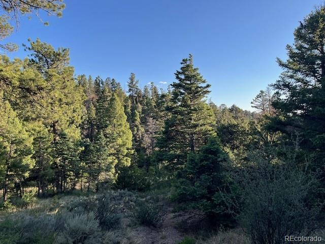Lot 5693 Balleroy Road San Luis CO 81152