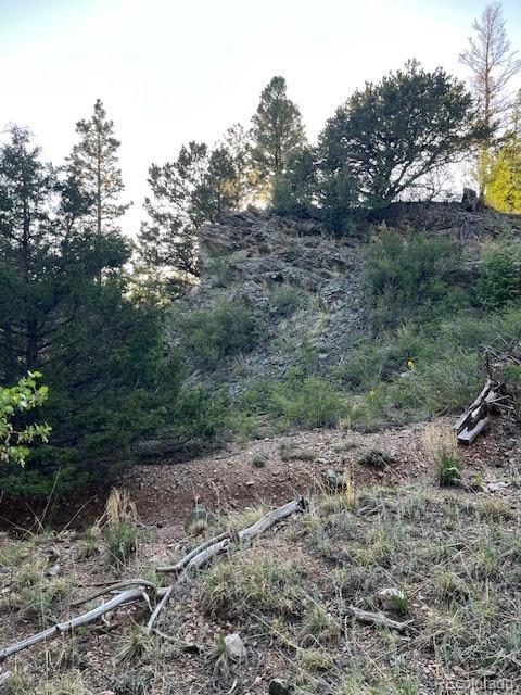 Lot 5693 Balleroy Road San Luis CO 81152