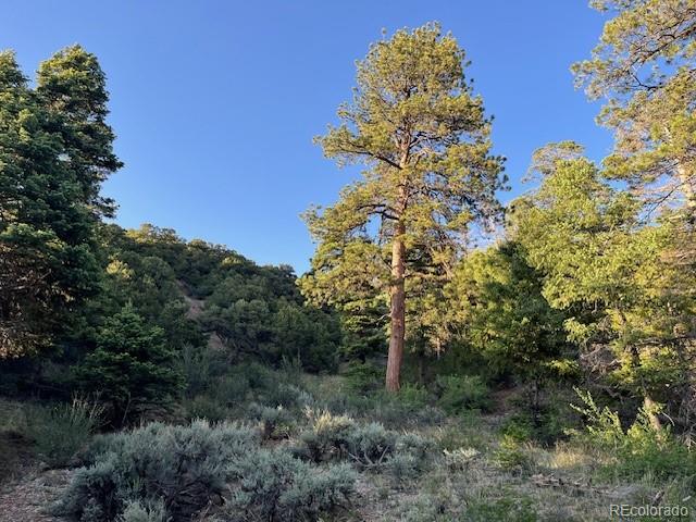 Lot 5693 Balleroy Road San Luis CO 81152