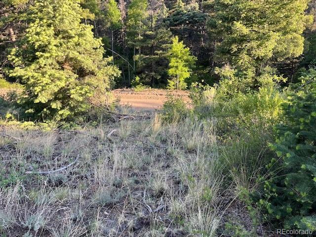 Lot 5693 Balleroy Road San Luis CO 81152