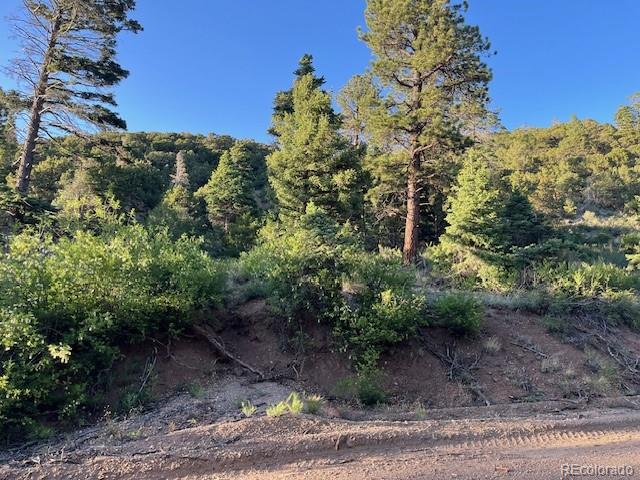 Lot 5693 Balleroy Road San Luis CO 81152