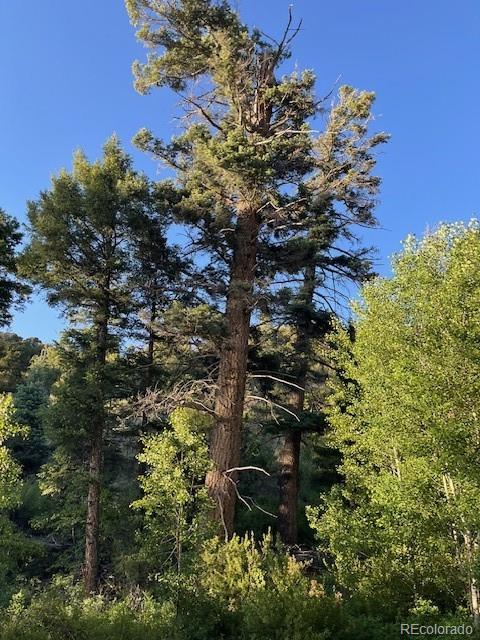 Lot 5693 Balleroy Road San Luis CO 81152