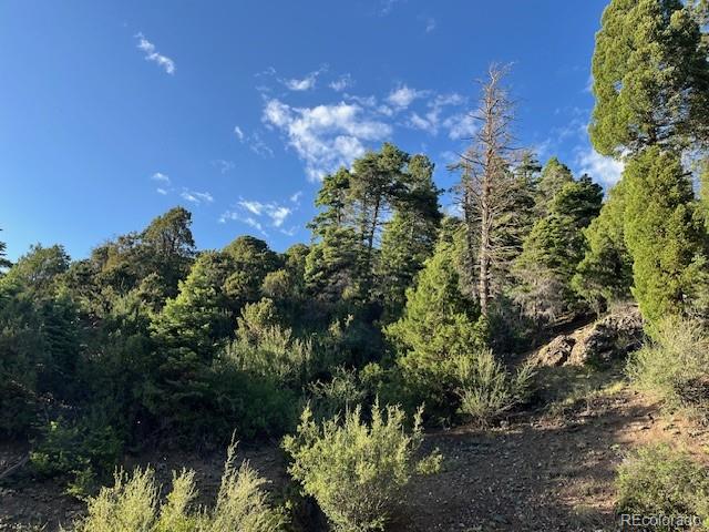 Lot 5693 Balleroy Road San Luis CO 81152